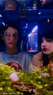 🔥 @pacificabanda from Argentina live at Noisehausen Festival 2026. Save your tickets. Links in bio. 🔥
#noisehausen #noisehausenfestival #pacifica #buenosaires #festival